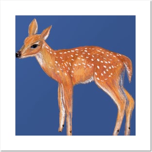 Fawn Posters and Art